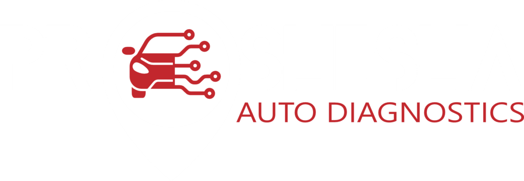 Pro Shesha | Auto Diagnostics